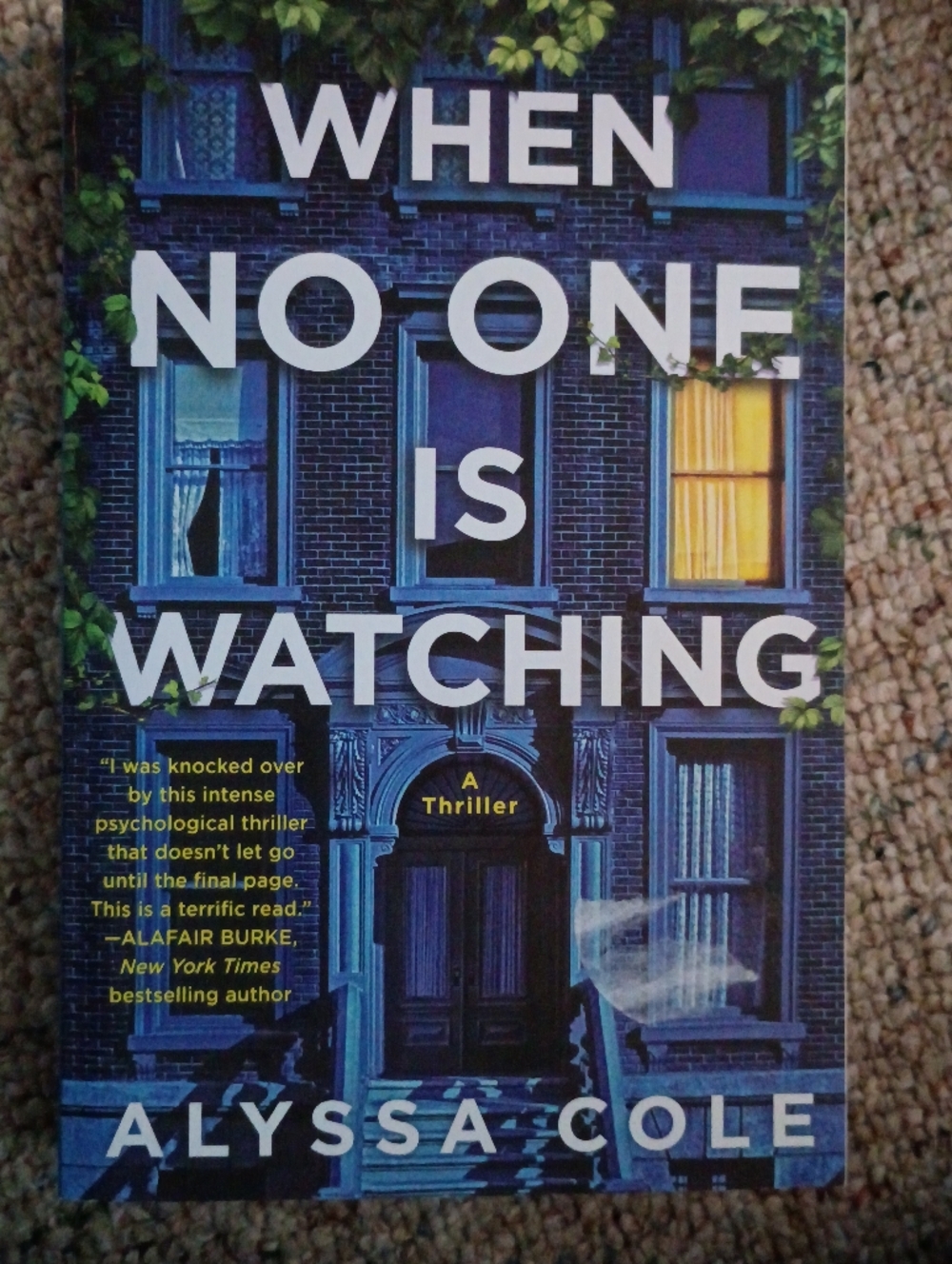 No One Is Watching Book